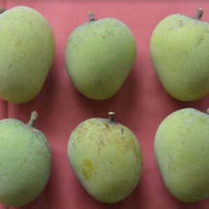 Khirsapat